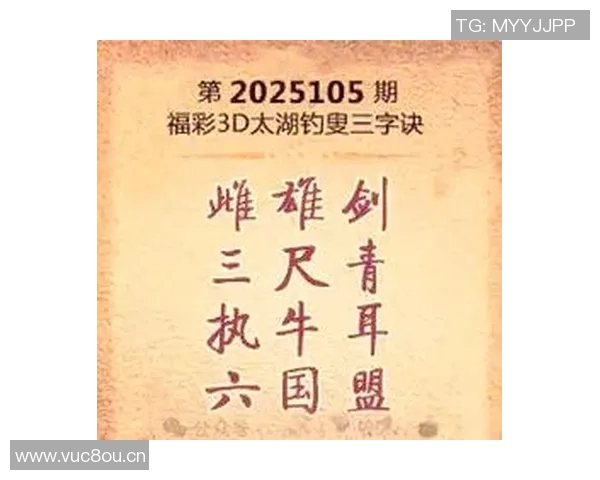 探索正版藏机图的魅力与价值,揭示其背后的文化与历史意义 探索正版藏机图的魅力与价值,揭示其背后的文化与历史意义