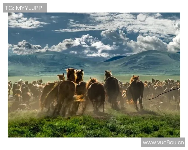 探索阿拉巴的历史文化与自然风光的奇妙之旅 探索阿拉巴的历史文化与自然风光的奇妙之旅