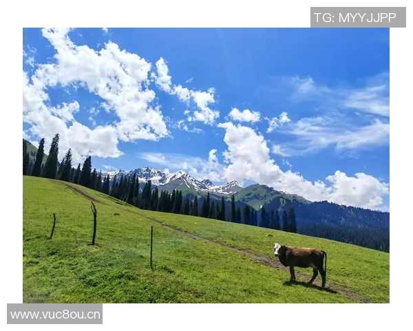 探寻孟克特古道的历史足迹与自然风光之旅 探寻孟克特古道的历史足迹与自然风光之旅