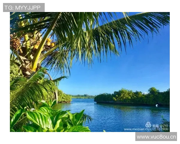 探索马纳多的魅力之旅：潜水美食与自然风光的完美结合